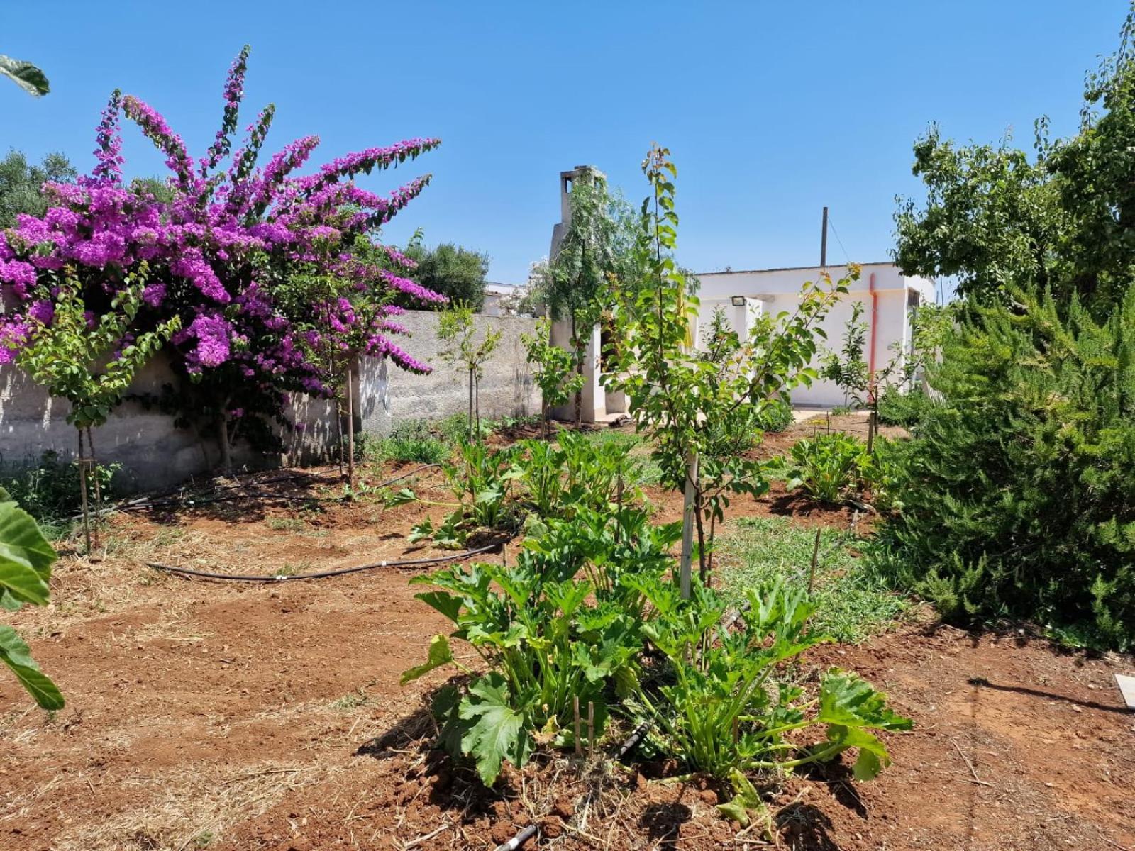 Villa Carmela A San Pietro In Bevagna Bagian luar foto