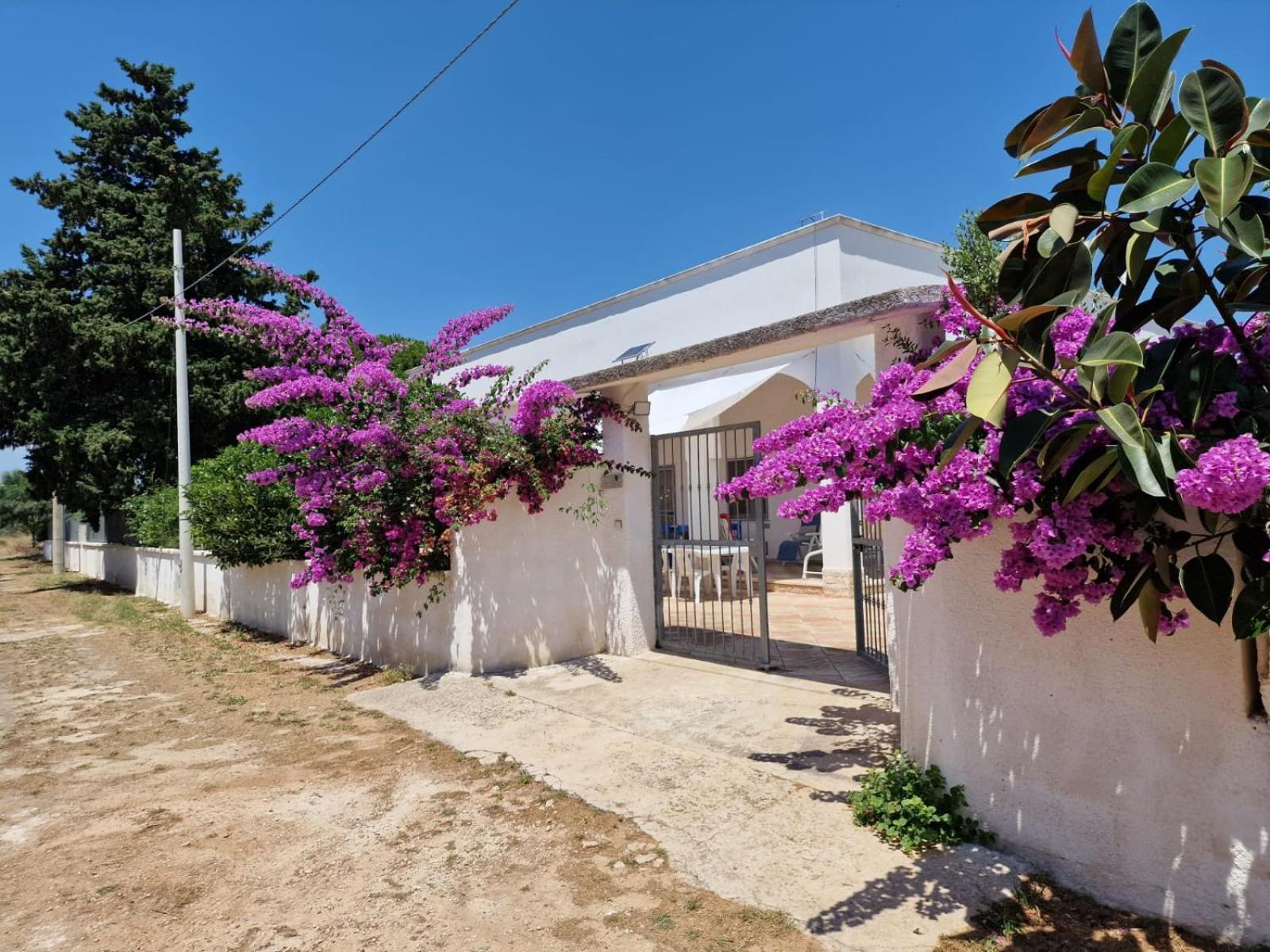 Villa Carmela A San Pietro In Bevagna Bagian luar foto