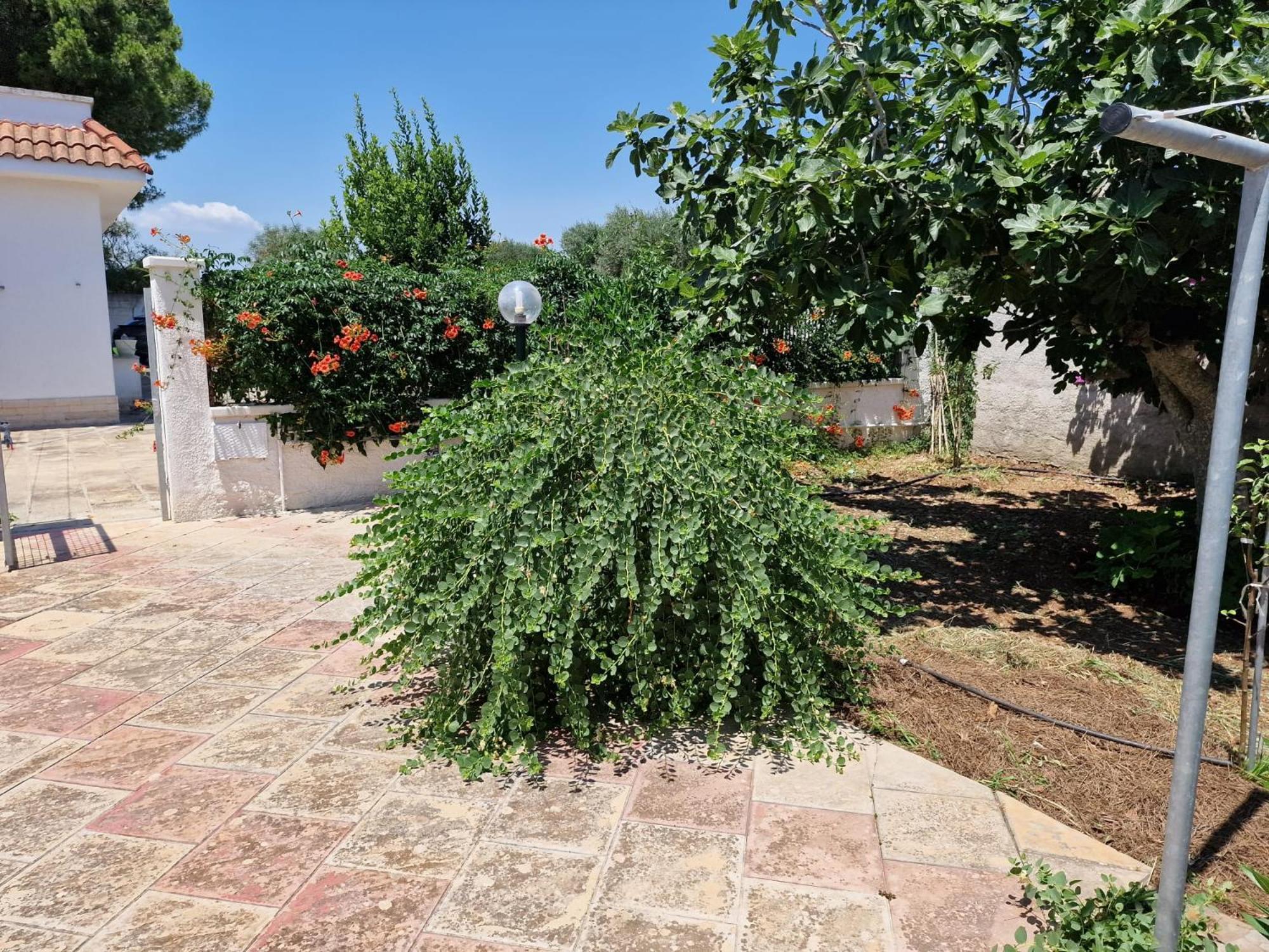 Villa Carmela A San Pietro In Bevagna Bagian luar foto