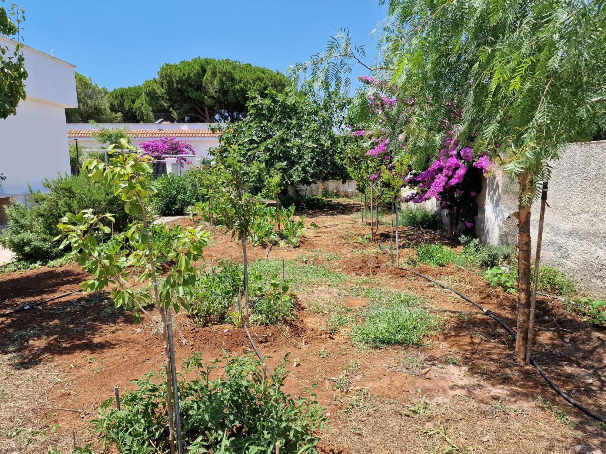 Villa Carmela A San Pietro In Bevagna Bagian luar foto